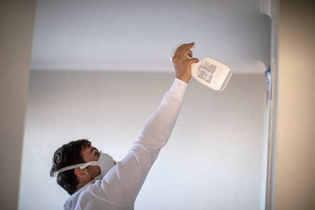 Best Industrial Mold Remediation in Marcellus, MI