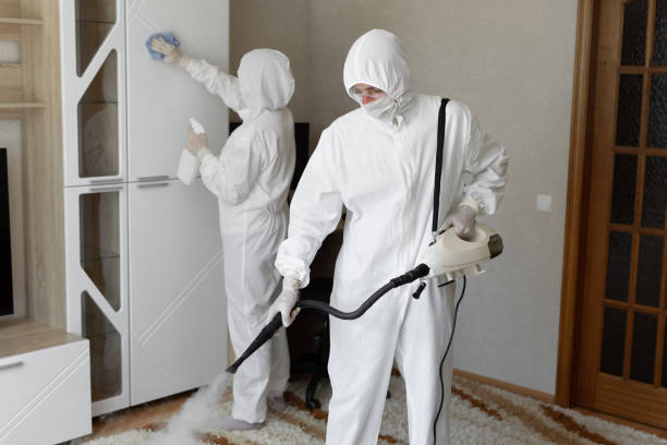 Best Post-Flood Mold Remediation in Marcellus, MI