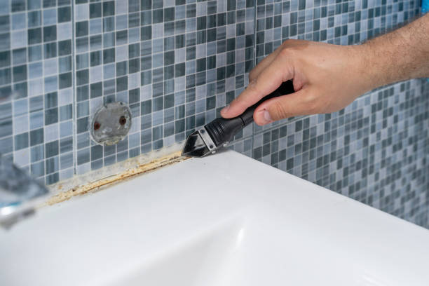 Best Black Mold Remediation in Marcellus, MI